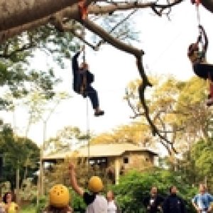 Atividades para eventos ao ar livre - Escalada em árvores - Adrenailha (8)