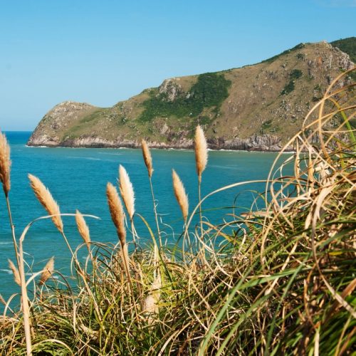 06052015- Lagoinha do Leste com Adrenailha-7