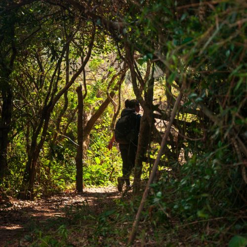 12082015- Abismo Encantadas - Adrenailha