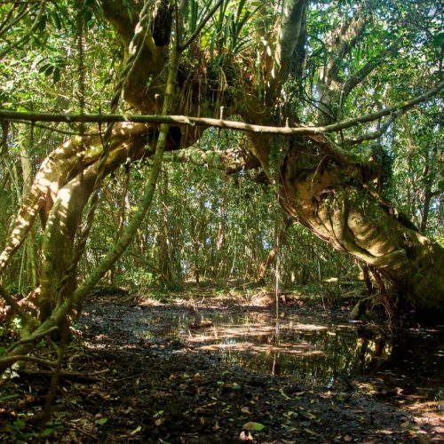 12082015- Abismo Encantadas com Adrenailha-4