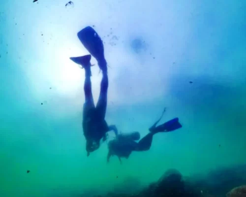 Certificação internacional reconhecida - Curso de Mergulho Adrenailha - Floripa - Ilha do Xavier