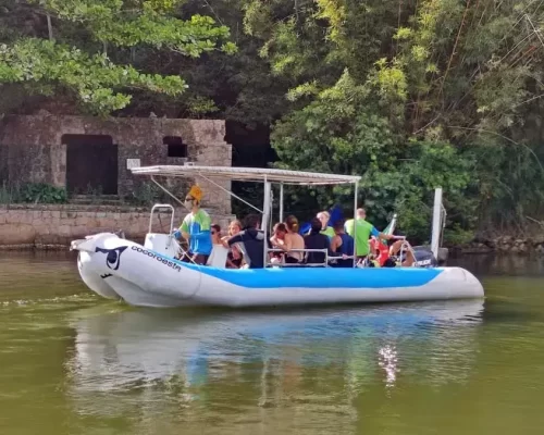 Conforto e Segurança a bordo - Mergulho e Snorkeling com tartarugas - by Adrenailha - Ilha do Xavier (5)