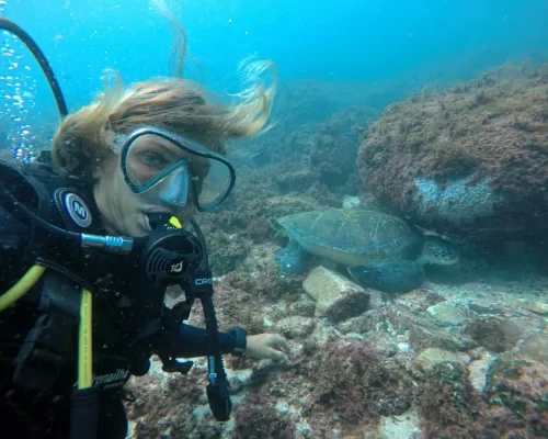 Instrutor Experiente - Apaixonado - Mergulho e Snorkeling com tartarugas - by Adrenailha - Ilha do Xavier (28)