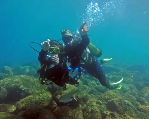 Nauí - Dive Master - Curso de Mergulho e Snorkeling - by Adrenailha - Ilha do Xavier (42)