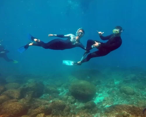 Naui Rescue Diver - Curso de mergulho e Snorkeling com tartarugas - by Adrenailha - Ilha do Xavier (43)