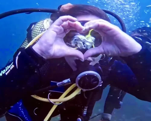 Nauí Scuba Diver - Cursos de Mergulho com Adrenailha Aventuras Floripa (3)