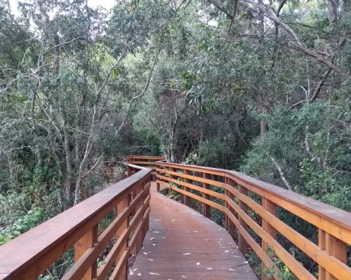 passeio parque rio vermelho